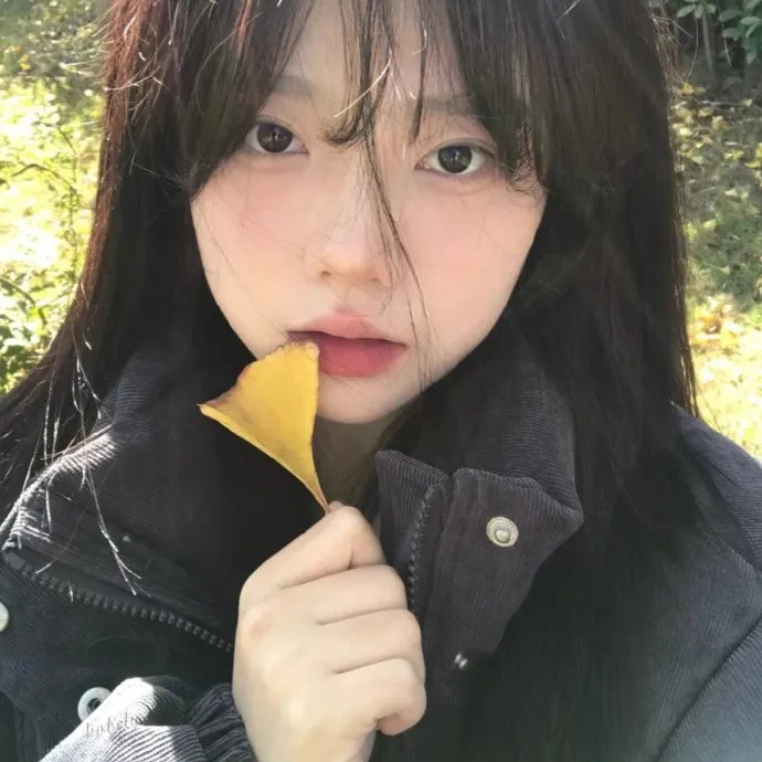 活动写真
