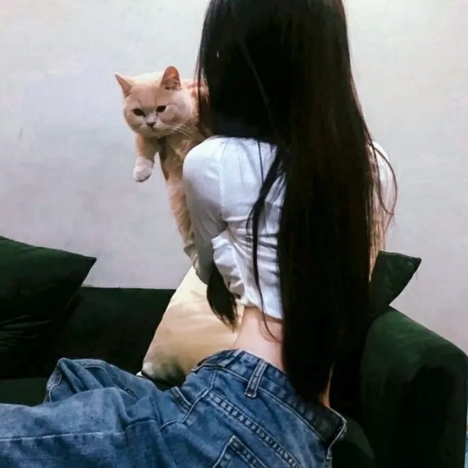 灰姑娘的玻璃手机